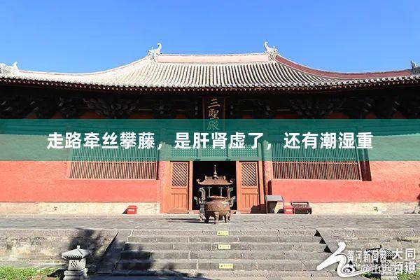 走路牵丝攀藤,是肝肾虚了,还有潮湿重