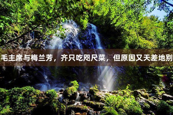 毛主席与梅兰芳，齐只吃咫尺菜，但原因又天差地别
