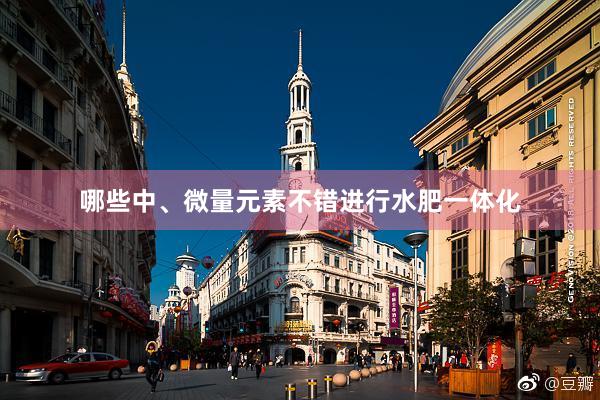 哪些中、微量元素不错进行水肥一体化