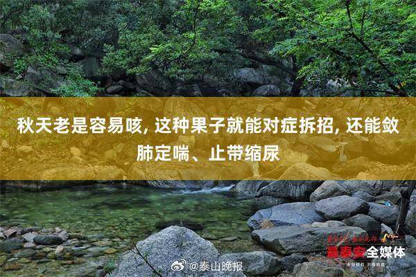 秋天老是容易咳, 这种果子就能对症拆招, 还能敛肺定喘、止带缩尿