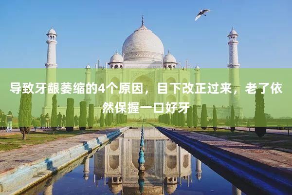 导致牙龈萎缩的4个原因，目下改正过来，老了依然保握一口好牙