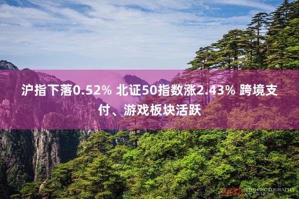 沪指下落0.52% 北证50指数涨2.43% 跨境支付、游戏板块活跃