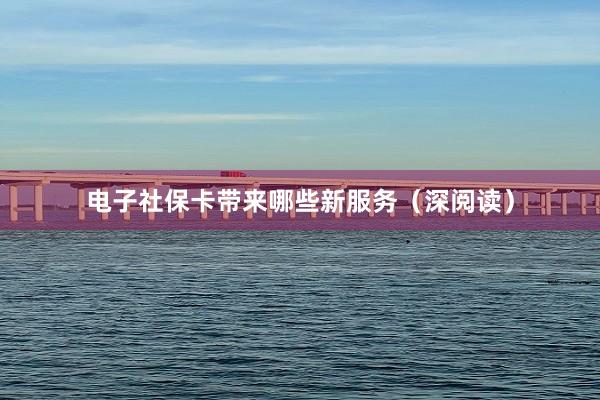 电子社保卡带来哪些新服务（深阅读）