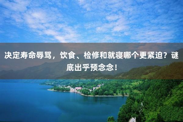 决定寿命辱骂，饮食、检修和就寝哪个更紧迫？谜底出乎预念念！